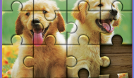 Jigsaw Puzzle