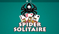 The Spider Solitaire