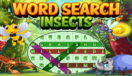 Word Search Insects