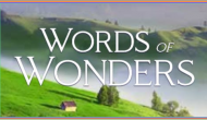 Words of Wonders